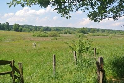NSG Lenzbachtal, Städteregion Aachen, SImmerath