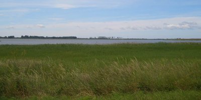 Naturschutzgebiet Neuendorfer Wiek mit Insel Beuchel. In der Ferne sind die Masten der Wittower Fähre zu erkennen.