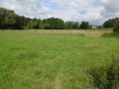 Naturschutzgebiet Orketal kurz vor der Landesgrenze (nördlich Straße nach Berge).