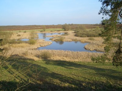 Blick auf das Naturschutzgebiet „Rothenmoorsche Sumpfwiese“, Mecklenburg-Vorpommern.