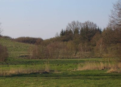 Blick von Süden auf das Naturschutzgebiet Schanzenberge bei Mankmoos, Mecklenburg-Vorpommern.
