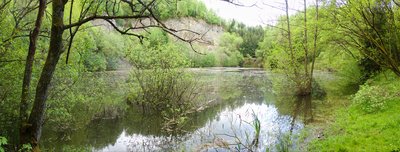 Naturschutzgebiet Schimmerich (NSG 7132-049)