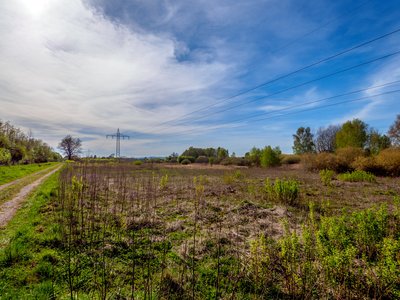 Naturschutzgebiet Schlangenbruch, Blick nach Westen