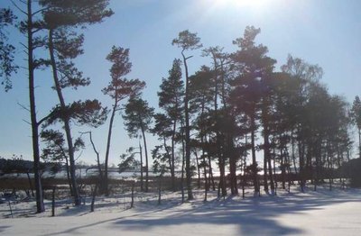 Blick von Norden in die Silmenitzer Heide und die Schoritzer Wiek.