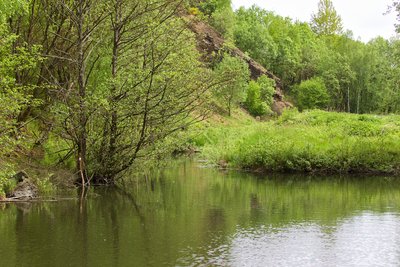 Naturschutzgebiet Steinbruch Hasselichskopf (Mai 2016)