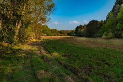 Das Naturschutzgebiet Struth im Rhein-Hunsrück-Kreis