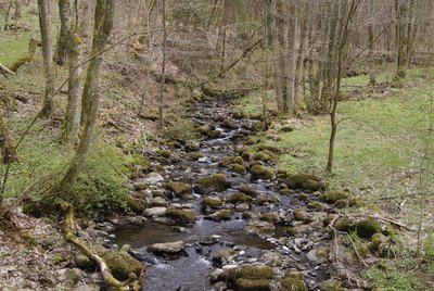 Basaltfelsen im Winterbach, Brücke im südlichen Teil des NSG Weier- und Winterbach, Blickrichtung Süd