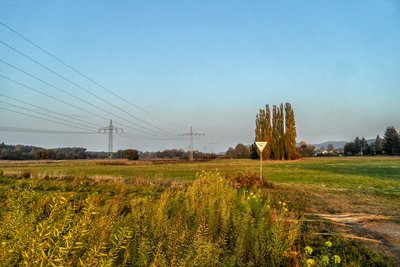 Naturschutzgebiet Wiesen nördlich von Vogelbach