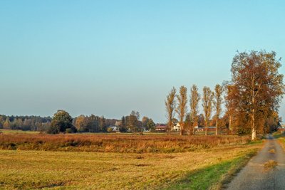 Naturschutzgebiet Wiesen westlich der Vogelbacher Mühle. Im Hintergrund erkennt man die Vogelbacher Mühle.