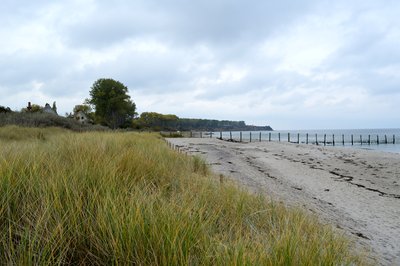 NSG Wustrow - Begrenzung im Nord-Osten (3)