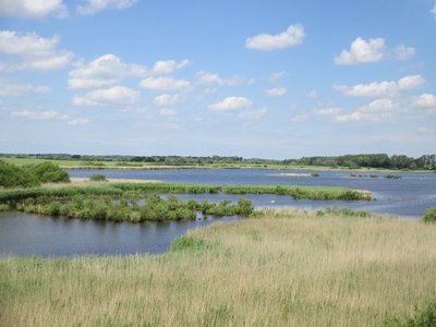 Großer Dambecker See im Naturschutzgebiet Dambecker Seen