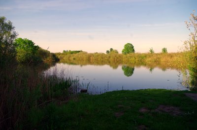 Sicht auf den Darschkower See