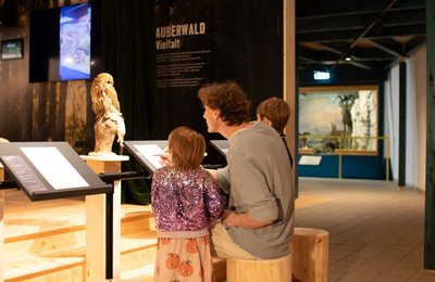 Im NaturErlebnisMuseum