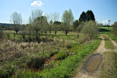 Holzbachtal Nature Reserve (May 2016)