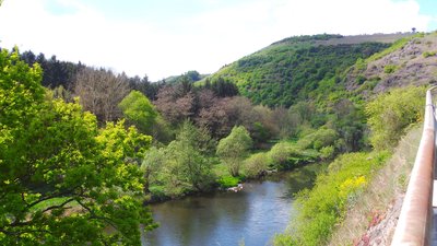 Nahe im NSG-Abschnitt unterhalb Schloßböckelheim (2014)
