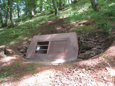 Von der Biologischen Station Hochsauerlandkreis gebaute Stollensicherung im Naturschutzgebiet Brandiger Berg.