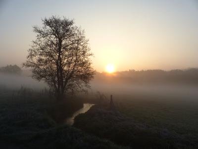 Malerischer Sommeraufgang im April in Burbach-Holzhausen