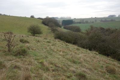Naturschutzgebiet Dahlsberg (rechts der Kante mit Büschen) von Norden.