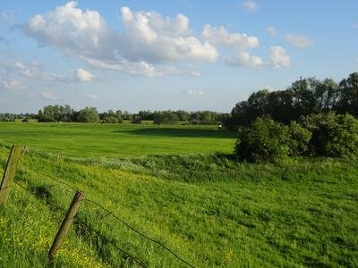 Naturschutzgebiet Dornicksche Ward