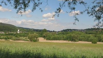 Föhrener Ried (Mai 2019)