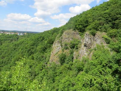Das Foto stellt ein Naturschutzgebiet in meine Heimat dar. Es ist ein vulkanischer Felsen, der 1981 unter Naturschutz gestellt wurde. Hier hat man eine herrliche Aussicht in das Lahntal und kann...