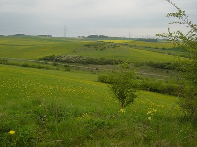 Nordwestbereich vom Naturschutzgebiet Glockengrund; LSG Rotes Land im Hintergrund