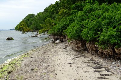 Muglitzer Boddenufer