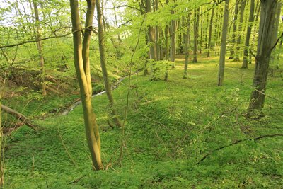 Naturschutzgebiet „Gramstorfer Berge“
