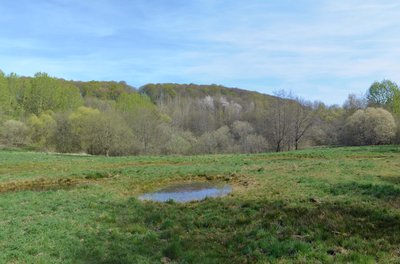 Naturschutzgebiet Hasenwiese