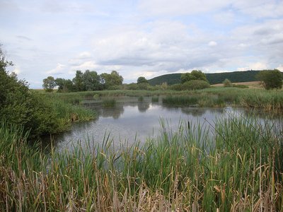 Hellersberger Weiher