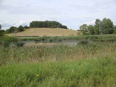 Hellersberger Weiher