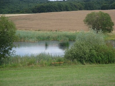 Hellersberger Weiher