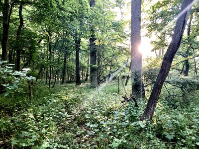 This is a picture of the protected area listed at WDPA under the ID 163795