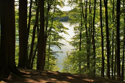 Naturschutzgebiet „Hullerbusch und Schmaler Luzin“, Mecklenburg-Vorpommern, Zansenblick
