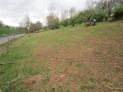 Naturschutzgebiet Klebberg; Landschaftspflegetrupp der Biologischen Station Hochsauerlandkreis auf der Westfläche des NSG beim abharken einer gemulchten Fläche.
