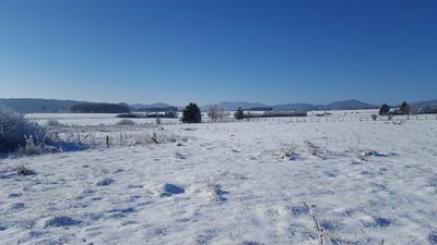 Bereich Piezfeld im Naturschutzgebiet Medebach-Frauenbruch