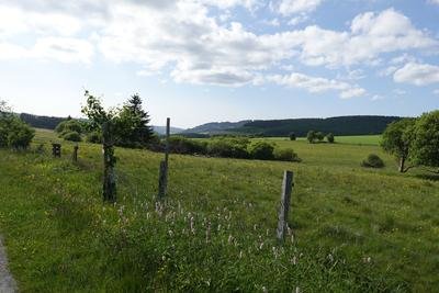 Naturschutzgebiet Neue Born – Oberes Hilletal​ von der Südostecke. Im Hintergrund Teile von LSG's. Blick nach Nordwesten vom Feldweg südlich des NSG.
