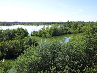 Naturschutzgebiet „Nordufer Plauer See“: Anblick vom Aussichtsturm „Moorochse“. Diese ehemaligen Torfstiche sind heute mit dem Plauer See (Mecklenburg) verbunden. Die Flora und Fauna ist sehr...