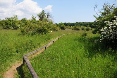 Blick in das Naturschutzgebiet Perfeist auf dem Liescher Berg