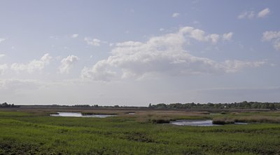Blick auf die Radelwiesen im Naturschutzgebiet Radelsee