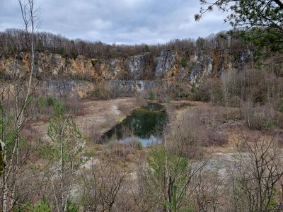 Kalksteinbruch Fachingen/Lahn. Nutzung von 1878 bis 1971. Naturschutzgebiet seit 1984.
