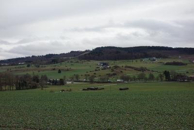 Naturschutzgebiet Weberstein und Naturschutzgebiet Drei Steine mit umgebenden LSG; Wald gehört zum Landschaftsschutzgebiet Briloner Kalkplateau und Randhöhen.