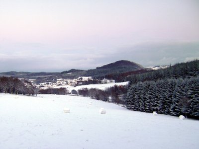 Nerother Kopf in winter, sight from the west („Forst Salm“)