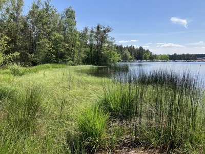 NSG Neubäuer Weiher