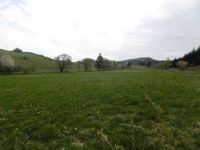 Bereich Neue Born vom Südwestrand im Naturschutzgebiet Neue Born – Oberes Hilletal.