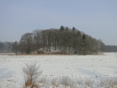 Nature reserve Moorrinne von Klein Salitz bis zum Neuenkirchener See in Neuenkirchen (Zarentin am Schaalsee), district Ludwigslust-Parchim, Mecklenburg-Vorpommern, Germany