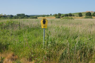 View over the Neukloster Globeflower Meadow Nature Reserve (Naturschutzgebiet Trollblumenwiese Neukloster) near Neukloster, Landkreis Nordwestmecklenburg, Mecklenburg-Vorpommern, Germany.