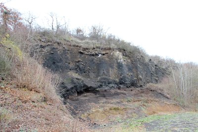 56651 Niederzissen, Kraterstraße. Bis heute ist der Bausenberg der am besten erhaltene Hufeisenkrater der Eifel! Am Krater und an seinem Wall besteht eine große Vielfalt unterschiedlicher...