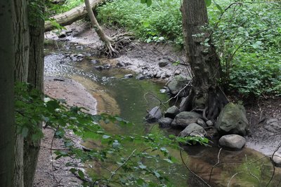 Naturschutzgebiet Beketal (N 302) im Landkreis Rostock (Mecklenburg-Vorpommern)