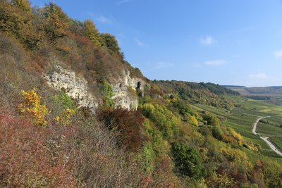 Naturschutzgebiet „Nitteler Fels“ (NSG 7235-061)